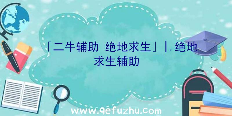 「二牛辅助